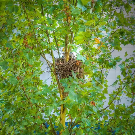 Unperfekthotel Coworkinghotel 2*