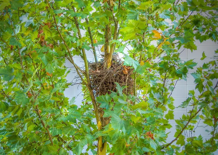 Unperfekthotel Coworkinghotel 2*